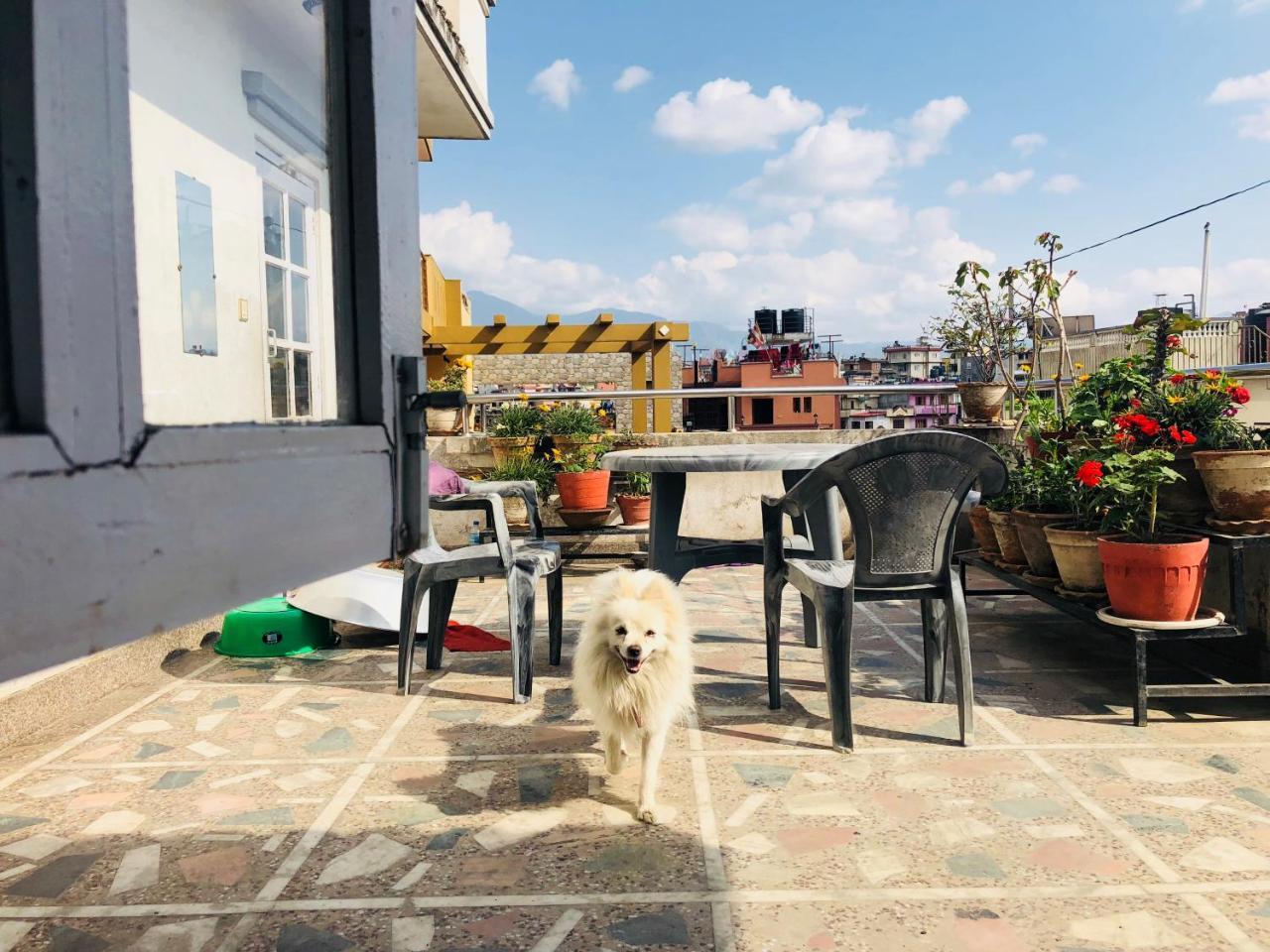 Kaji Home Lalitpur Экстерьер фото
